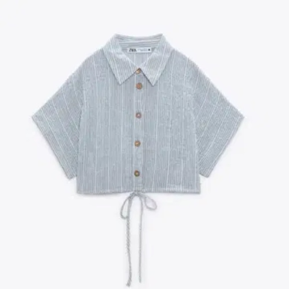 Zara Striped Cropped Shirt